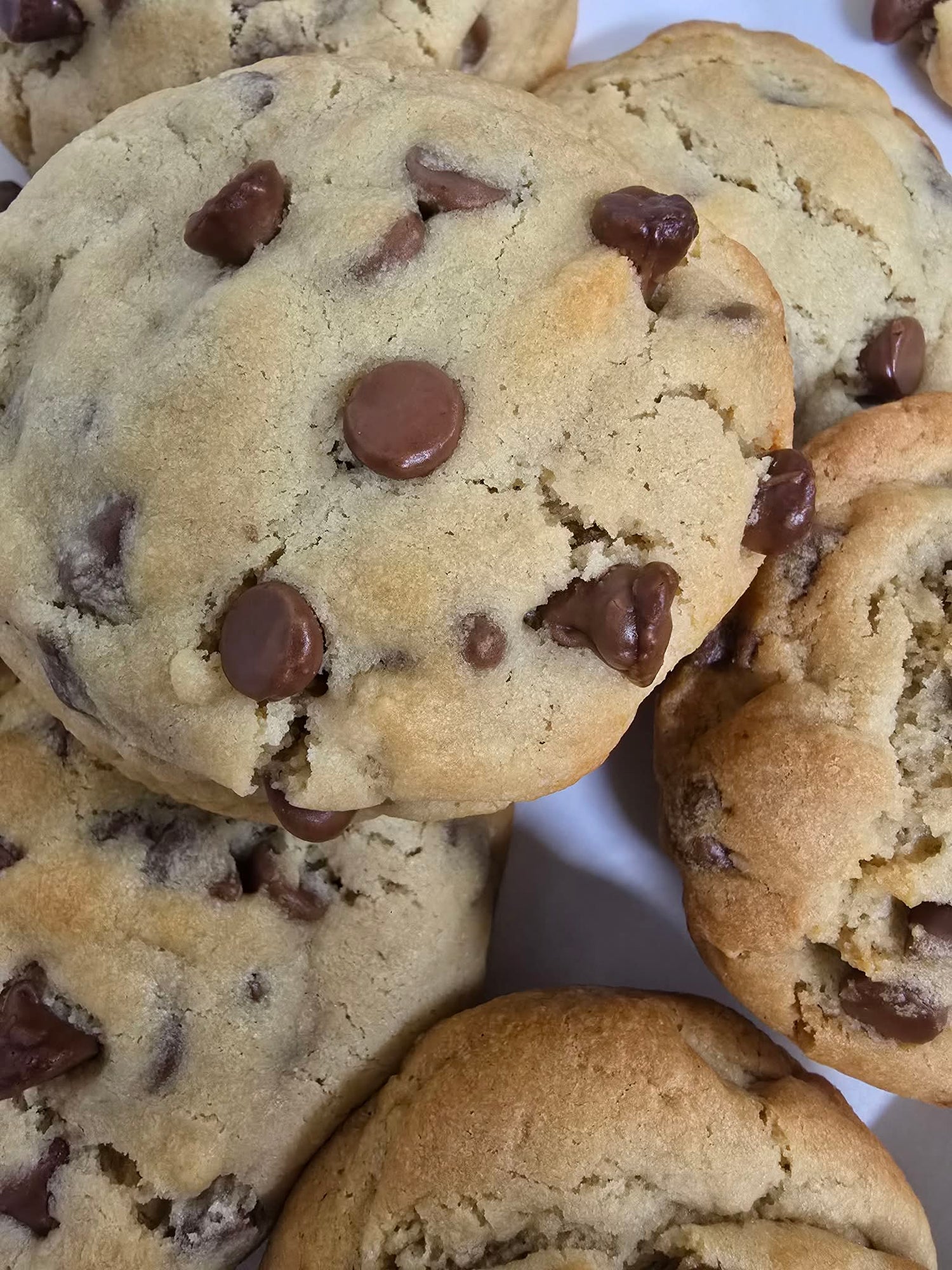 Choc Chip Cookie