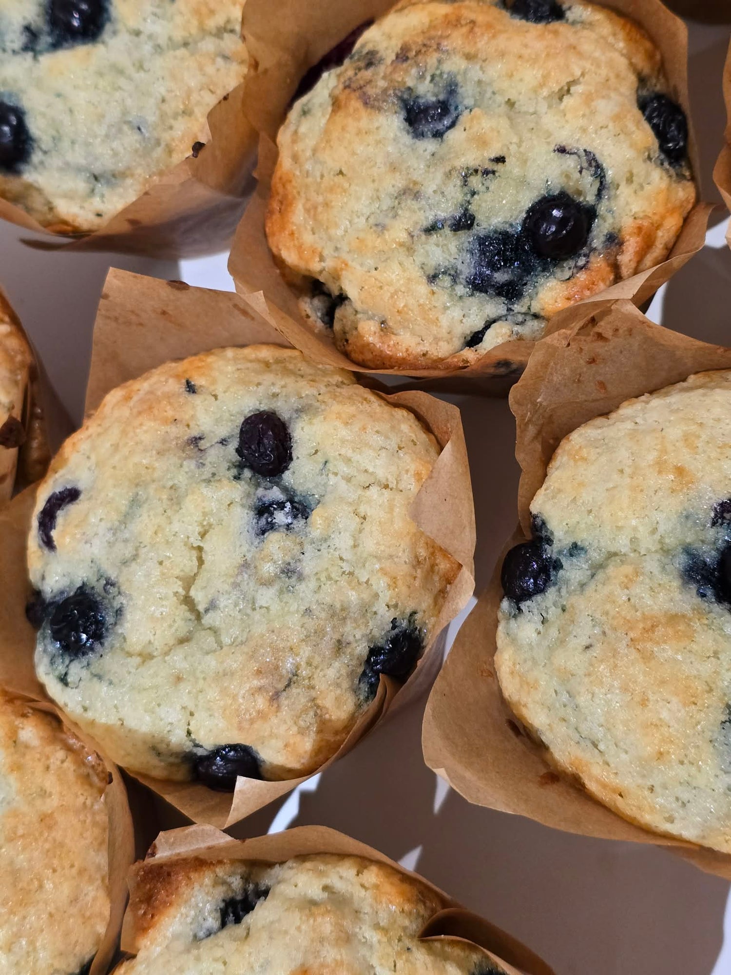 Blueberry Muffins