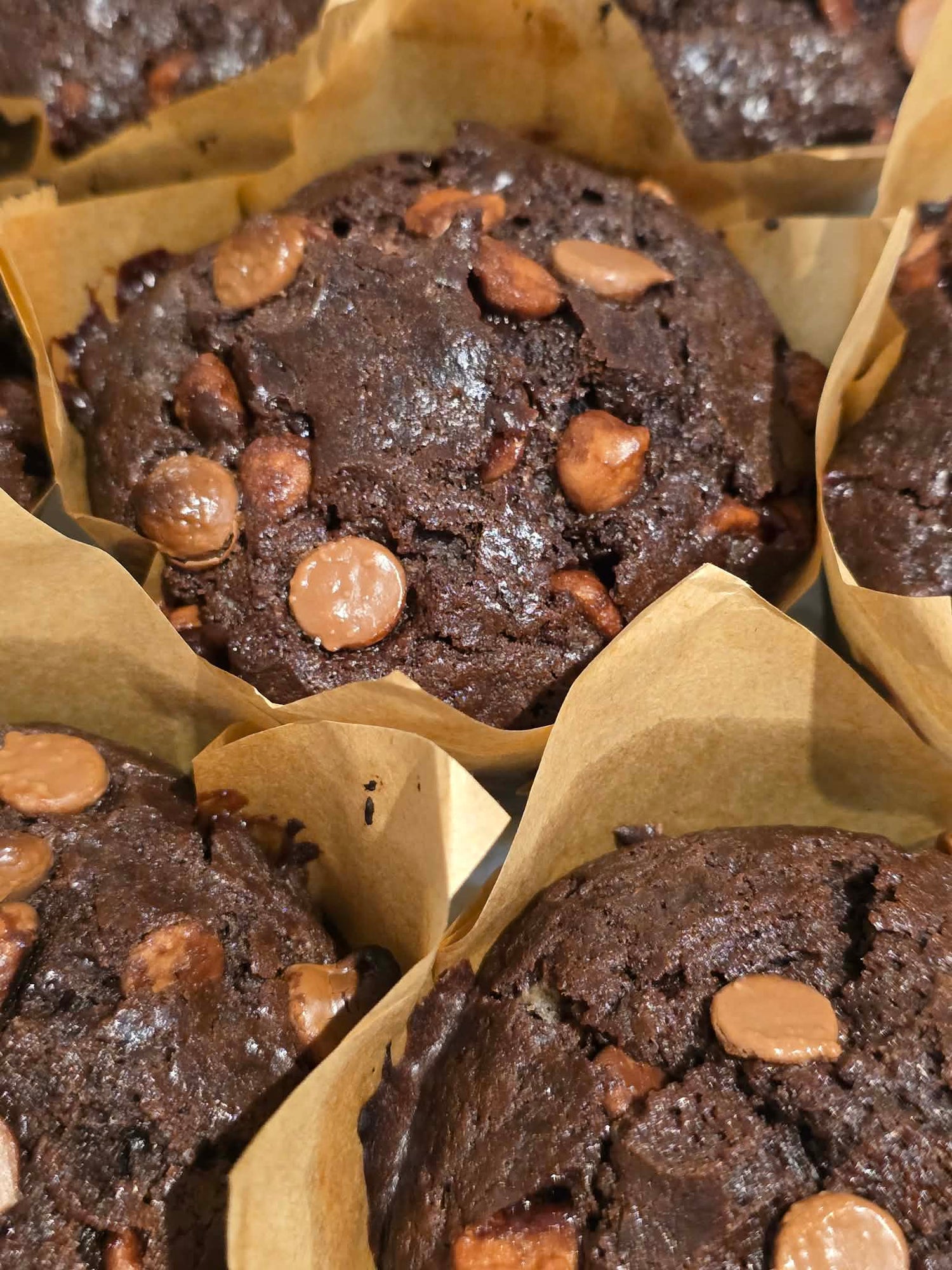 Double Choc muffin