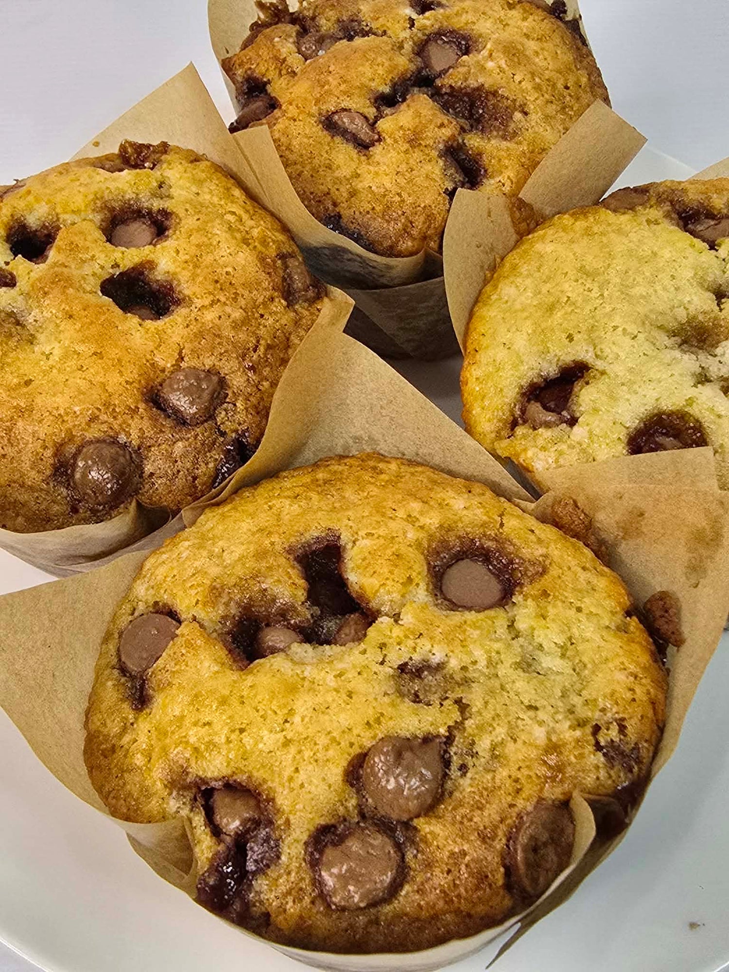 Choc Chip Muffins